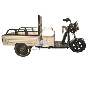 Tricycle électrique facile à utiliser, léger, conduite sécurisée, capacité de charge de 500 kg - Product Image 4