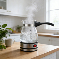 Bouilloire Électrique Pliable Pratique en Verre Anti-Ébullition à Sec 0,5 Litre Portable avec Arrêt Automatique et Rotation à 360 Degrés