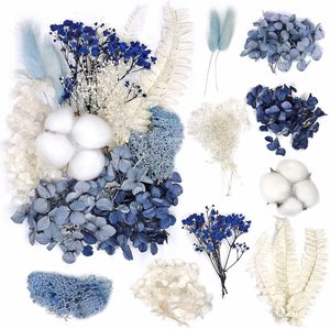 Lot de plantes séchées naturelles pressées (fleurs et feuillage) pour loisirs créatifs, fabrication de savons et décoration de boutiques – Vente en gros - Product Image 3