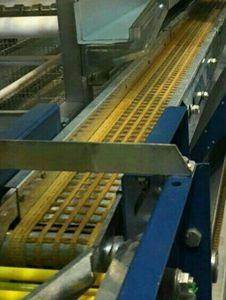 Lồng Gia Cầm Hệ Thống Tổ Lớp Băng Tải Dệt Đục Lỗ Rộng 200MM Để Vận Chuyển Trứng - Product Image 3