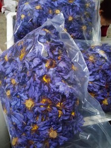 Té de Hierbas y Flores 100% Natural, Orgánico y Hecho a Mano, con Sabor a Flor de <span class=keywords><strong>Loto</strong></span> Azul Seca Egipcia - Product Image 4