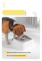 Gamelle surélevée sans BPA pour animaux de compagnie, distributeur de nourriture de voyage pour chiens et chats, faible MOQ, accessoires pour animaux, fournitures pour chiens, prix d'usine, prêt à expédier
