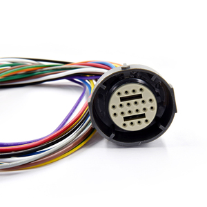 24200161 Arnés de Cableado Interno y Externo Derecho para Chevrolet GMC - Product Image 4