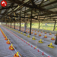 Sistem Kandang Ayam Broiler Berkualitas Tinggi dengan Lantai Berpalang, Sistem Pemberian Pakan Auger & Tempat Pakan Ayam dari Bahan PP