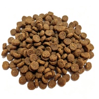 Nourriture sèche pour chats, haute teneur en protéines, 30 % de protéines, avec oméga 3 et oméga 6 pour la santé de la peau et du pelage, fabricants en gros OEM