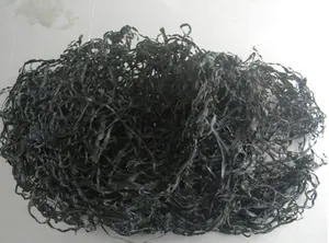 Sea Tangle Vegetables Gulfweed Sargassum Seaweed Mesh Continuous Conveyor Band Belt Dryer Machine Drying Equipment