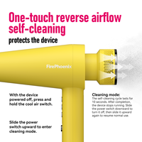 Sèche-cheveux professionnel FirePhoenix M2 2200W avec moteur sans balais, ionique anti-frisottis, température constante, auto-nettoyant, 430g, prise EU