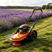 Débroussailleuse autoportée à essence haute puissance, tondeuse à gazon autopropulsée poussée à la main, coupe-herbe