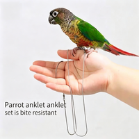 Tali Pengikat Kaki Burung Beo dari Baja Anti Karat Kokoh dengan Desain Kunci Jepret untuk Burung Beo Kecil, Tali Terbang untuk Burung di Luar Ruangan Sehari-hari