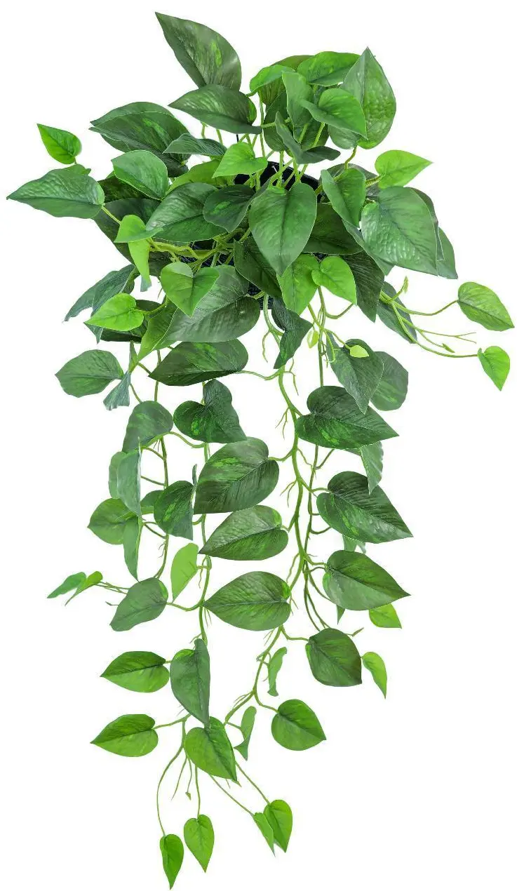 Feuille de lierre artificielle plante vigne guirlande suspendue et feuilles artificielles suspendues au plafond