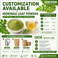 Ekstrak Daun Moringa Oleifera LongBio Bubuk 5:1 Suplemen Herbal Hijau Kelas Makanan untuk Minuman Kapsul OEM Grosir