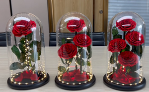 Fiore di Rosa Conservato in Cupola Acrilica, Il Piccolo <span class=keywords><strong>Principe</strong></span>, Regalo Qixi, San Valentino, Festa degli Insegnanti, Regalo Premium di Alta Gamma - Product Image 3