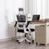 Chaise de bureau ergonomique moderne de haute qualité, réglable en hauteur, pivotante, avec système de levage à gaz, dossier en maille, accoudoirs fixes et assise moelleuse