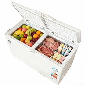 Congélateur coffre blanc à double porte, température unique, dégivrage manuel, première classe d'efficacité énergétique pour le stockage domestique et commercial - Product Image 2