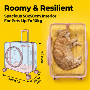 Trolley multifonctionnel extérieur respirant pour chats chiens Grande capacité 10kg 100% Transparent New Fashionable Foreign - Product Image 4