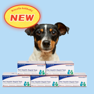 Kit de Prueba de Brucella VetioraDx - Kit de Prueba de Antígeno Ag para Brucella <span class=keywords><strong>Canis</strong></span> y Brucella Abortus para Perros, Kit de Diagnóstico Veterinario Rápido - Product Image 1