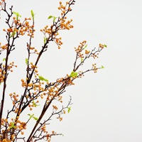 Kunstfruit, uit de bergen, rode kleine bessen, kunstmatige fruittakken in Chinese stijl, woondecoratie