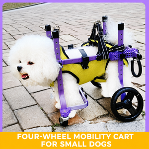 Chariot de mobilité pour chien à quatre roues, chariot de récupération portable pour animaux de compagnie avec harnais bleu et cadre noir - Product Image 5