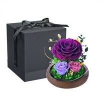Roses avec lumières LED, cadeaux de Noël pour femmes, cadeaux d'anniversaire pour maman, rose éternelle illuminée dans un dôme en verre