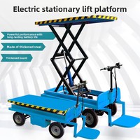 Chariot électrique à plateforme, véhicule logistique, chariot à plateau, chariot de manutention, chariot élévateur électrique OEM