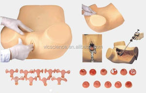 의료 해부학 모델 부인과 훈련 시뮬레이터 교육용 의료 모델 의학 과학 교육 모델 - Product Image 5