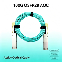 Kabel Optik Aktif IIIV QSFP28 100G AOC 1m/2m/3m/5m Panjang Kustom Garansi 3 Tahun untuk Server Switch Pusat Data Kecepatan Tinggi