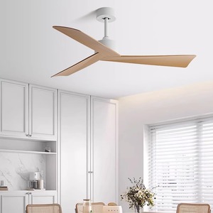 Quạt trần mà không có đèn tuôn ra núi điều khiển từ xa, ABS Blades hiện đại ngoài trời Quạt trần không có ánh sáng cho phòng ngủ - Product Image 6