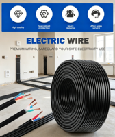 Câble Électrique RVV Longueur Personnalisée Couleur Noyau en Cuivre Pur Fil Étanche pour Distributeurs Mondiaux Achat en Gros