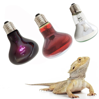Lampe chauffante infrarouge R63 R80 25W-100W, ampoule infrarouge réfléchissante pour reptiles, lampe chauffante de nuit rouge pour tortue, poulailler
