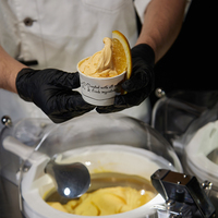 Machine à glaces et sorbets MILES V1 Milano pour comptoir, avec fonction eau, fruits, lait et mochi, machine à gelato à tête unique