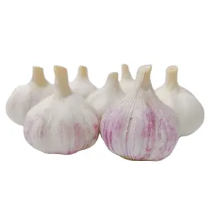 Chinese fresh garlic onion potato canister storage