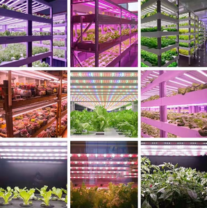 Tube LED de culture <span class=keywords><strong>pour</strong></span> plantes verticales d'intérieur, spectre complet 10w 20w 50w, T8 <span class=keywords><strong>T5</strong></span> 4ft, <span class=keywords><strong>fluorescent</strong></span>, avec IP65 LM281B - Product Image 5