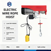 Remote Control Hoist Listrik CE Wireless Ringan 110V 220V Fase Tunggal untuk Garasi, Bengkel, dan Toko