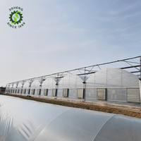 Structure de serre commerciale plantation système hydroponique de fraise équipé de serres à climat contrôlé à vendre