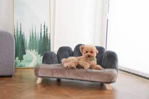 Sofá Cama Único y Cómodo con Diseño de Cinco Dedos para Perros y Gatos - Product Image 6