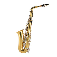 Golden Brass Alto Saxophone Drop E Instrument Two-Color Lacquered Gold Craft Y-AS-495