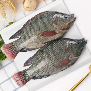 Pesce Tilapia Congelato All'Ingrosso, Tilapia Nera Intera 400-600g Importata dalla Cina - Product Image 1