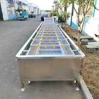 RVS-belletjesreinigingsmachine voor chili, granaatappel, jujube, dadels, vis, wortel, salade, wasapparatuur
