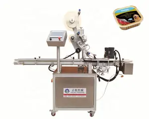 Top Surface Automatic Labeling Machine For Conveyor Belt Carton Box Bag Pouch Plane Sticker Labeling Machine