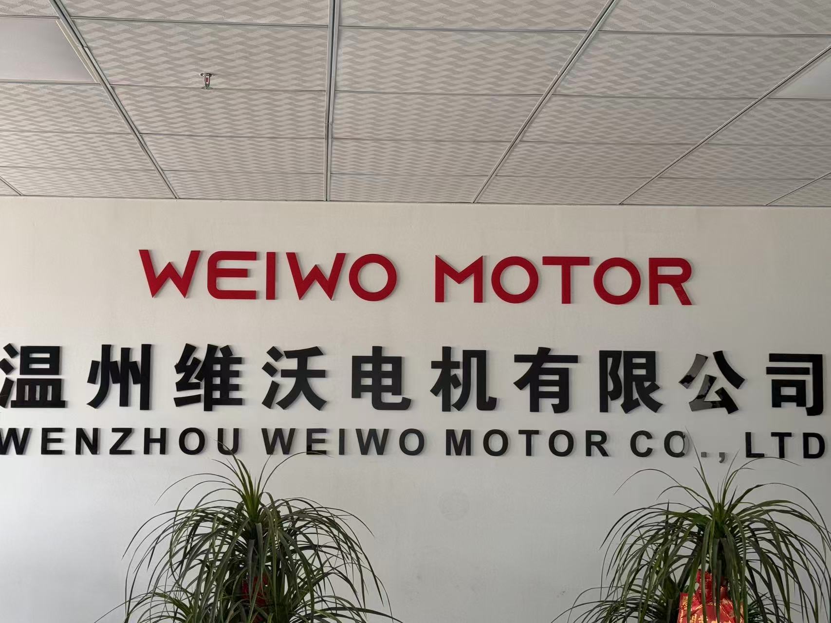 Wenzhou Weiwo Motor Co., Ltd. logo