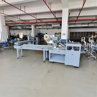 Machine d'emballage automatique Ding Yan à mouvement alternatif pour sachets, idéale pour l'emballage de savons en barre et de serviettes en plateau