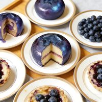 Moule en silicone pour fruits aux bleuets, idéal pour la pâtisserie, les mousses, les gâteaux, les puddings et les desserts aux fruits.