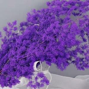 Nuevo Producto 2026, Ramas de Helecho Ming Preservadas, Flores Secas, Decoración Ecológica para el Hogar y Bodas, Día de San Valentín, Año Nuevo Chino - Product Image 1