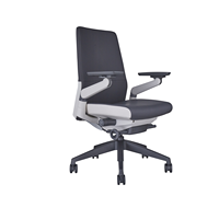 Risamshan — meuble de bureau ergonomique, chaise avec accoudoir 4D, rembourré, échelle humaine, nouveau modèle