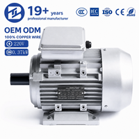 Moteur monophasé BIOTE série YL 0,37-2,2 kW 1400 tr/min 2800 tr/min 220 V pour compresseur d'air, pompe à eau, machines agricoles