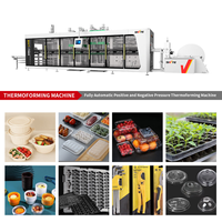 Machine voor het maken van wegwerpdozen, 3-compartimenten bentodoos productie-apparatuur, fruitdoos vacuümvormapparaat motor
