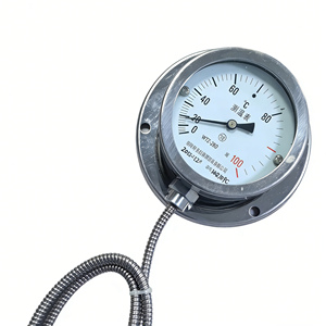 WTZ 280 <span class=keywords><strong>Thermometer</strong></span> Nanyang Huaye Zhang Heng - Product Image 5