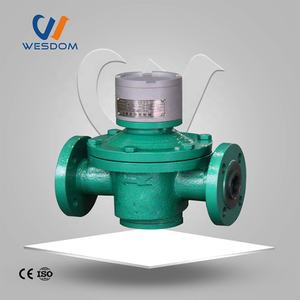 2024オーバルギア流量計ギア燃料ディーゼルオイル流量計トラックパーム油用 - Product Image 6