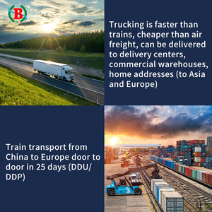 Transitario Profesional Top 10, Logística, Transporte Marítimo, Ferroviario y Express, Seguro de Mercancías Peligrosas, China, Alemania, Eslovenia - Product Image 2