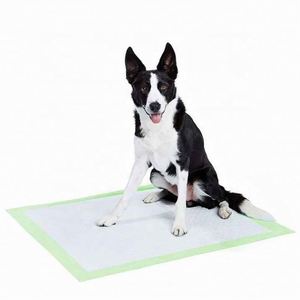 5 Layers High Quality Disposable Puppy Potty Pet Dog Training Pads Changing Pee Wee Pads High Absorption Leak Prevention - Product Image 1